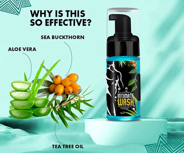 https://cdn.shopify.com/s/files/1/1857/6931/products/QQNBwoCPvm.jpg?v=1685166708